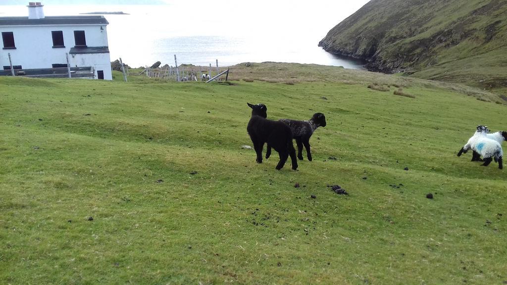 Achill West Coast House Bed & Breakfast Dooagh Eksteriør bilde